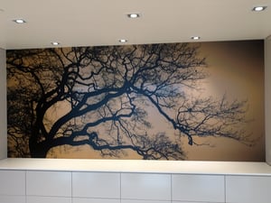 American Window Tint