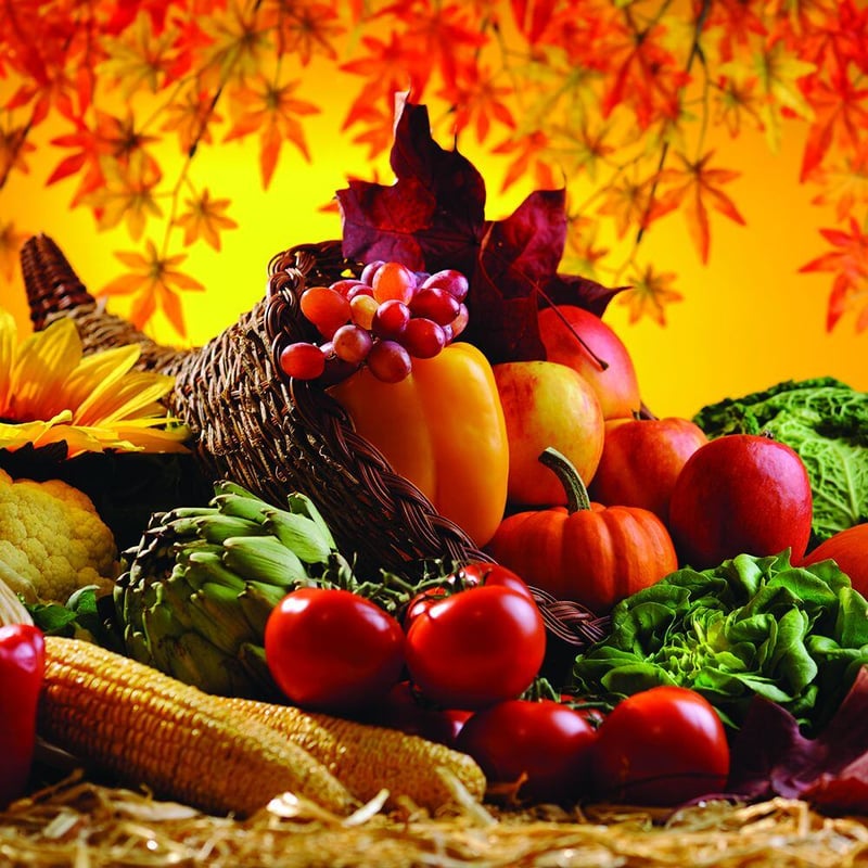These Exclusive Fall Films are the Perfect Final Touch to your Fall Decor