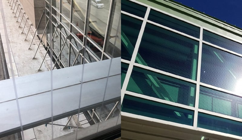 SOLYX® Bird Safety Films Help Cut Down on Unfortunate Bird Strike Incidents